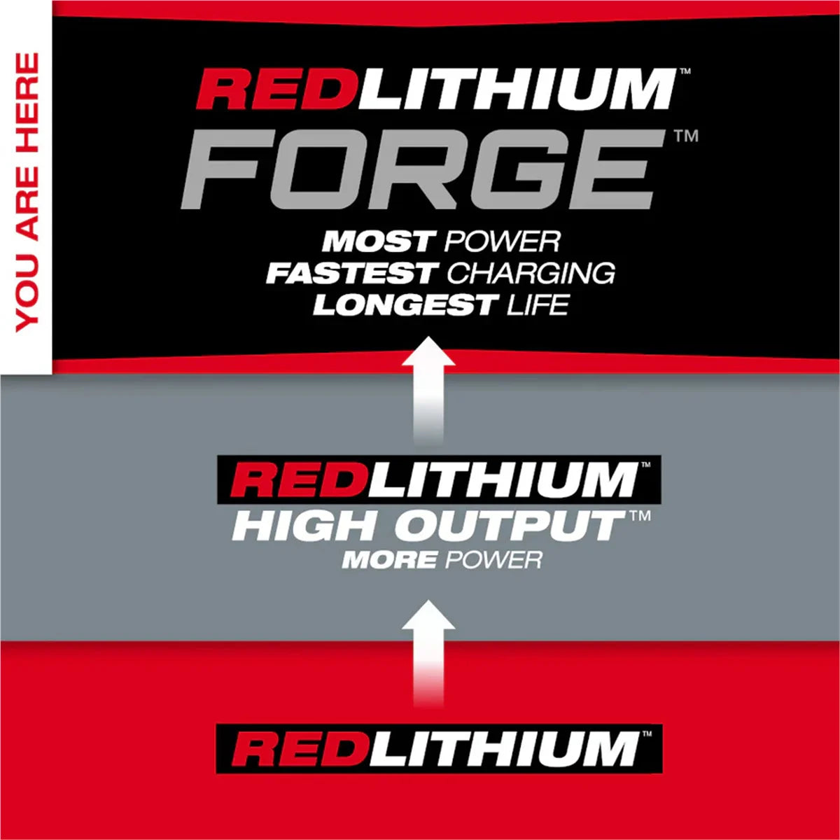 Tool M18 REDLITHIUM FORGE HD12.0 Battery Pack
